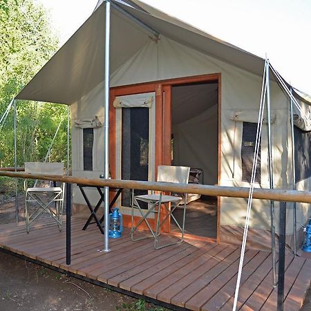 The Wild Olive Tree Camp Hotel Welverdiend  ห้อง รูปภาพ