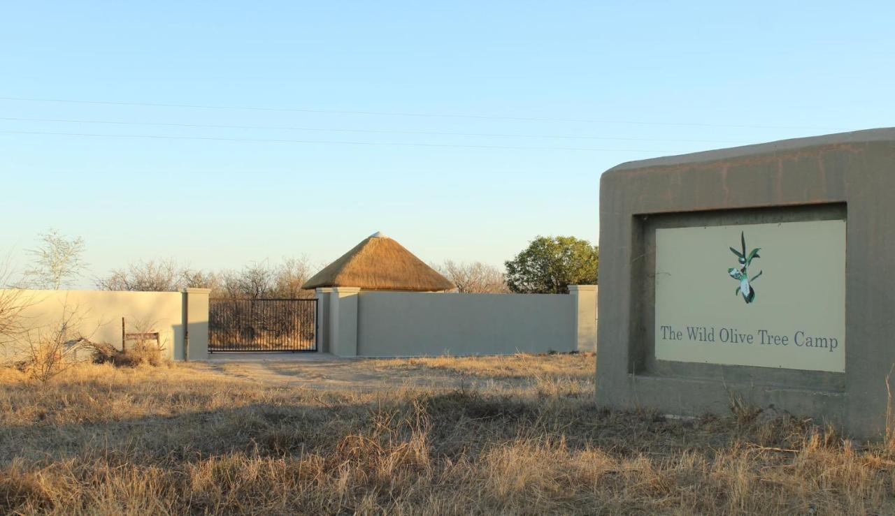 The Wild Olive Tree Camp Hotel Welverdiend  ภายนอก รูปภาพ