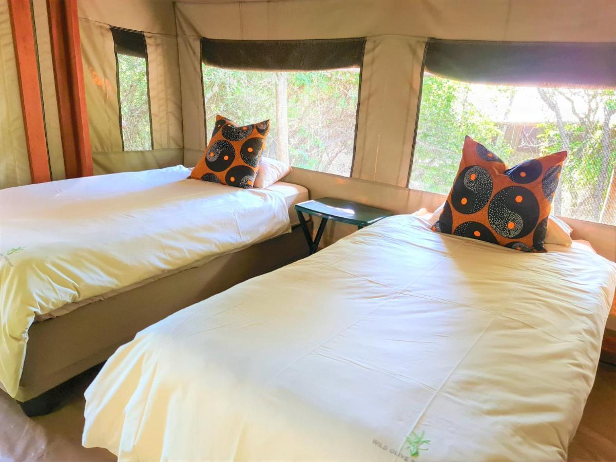 The Wild Olive Tree Camp Hotel Welverdiend  ภายนอก รูปภาพ