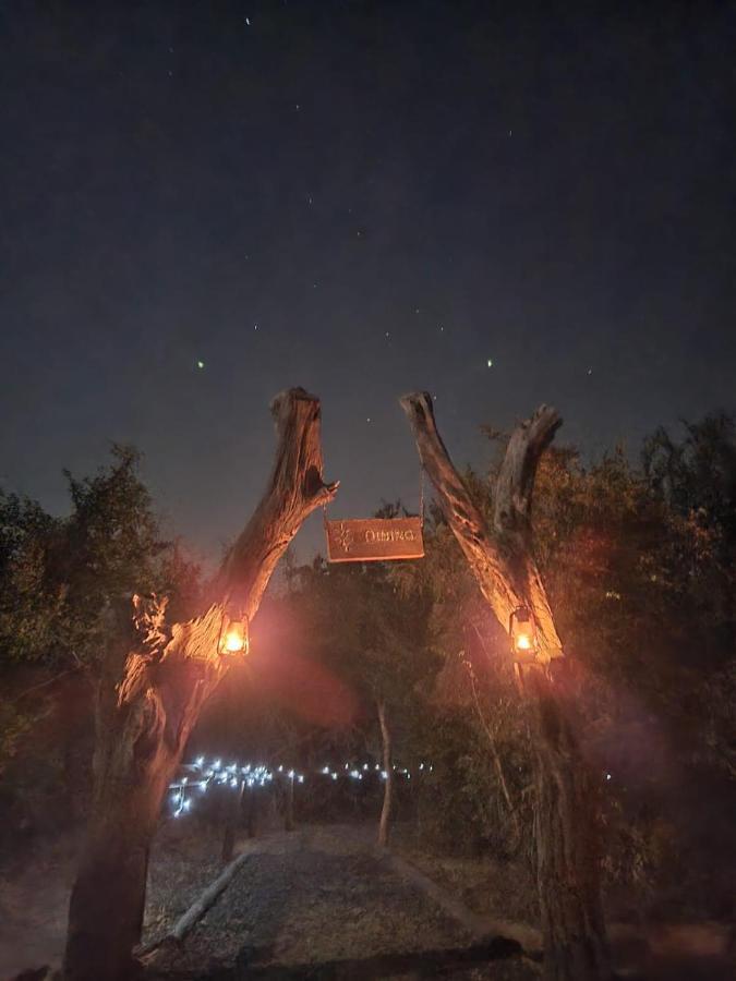 The Wild Olive Tree Camp Hotel Welverdiend  ภายนอก รูปภาพ